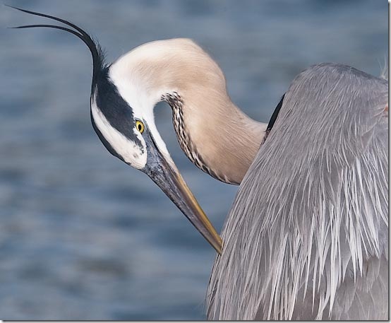 GBH-10