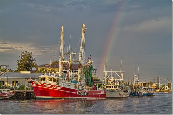 TarponSprings-5