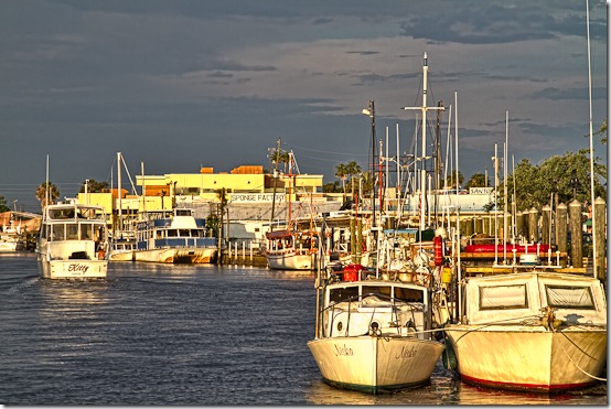 TarponSprings-8