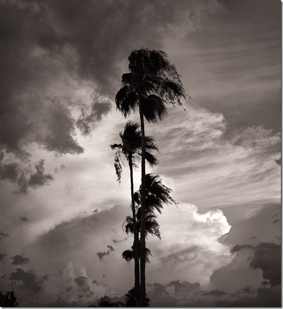Storms20100630-2