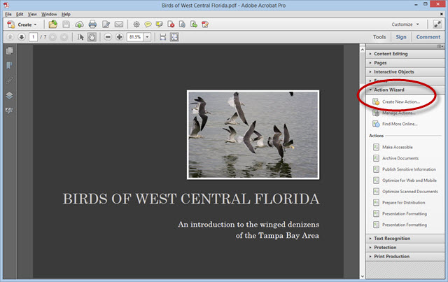  Adobe Acrobat Actions