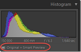 using smart previews