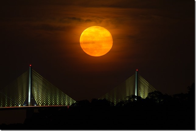 Sunshine Skyway 6