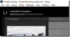 Lightroom Import Processes