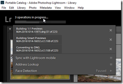 Lightroom Import Processes