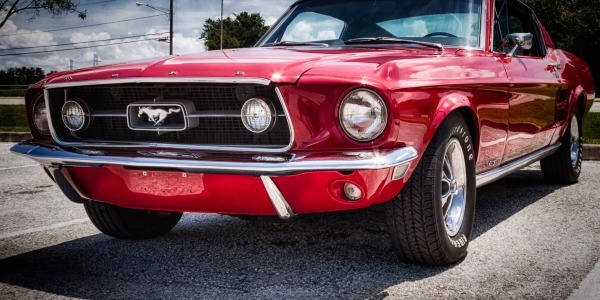 Pearce Mustang